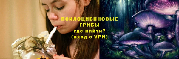 шишки Горнозаводск