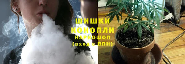 шишки Горнозаводск
