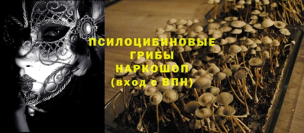 гашик Горно-Алтайск