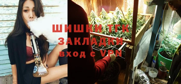 MESCALINE Горняк