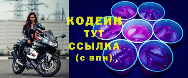 шишки Горнозаводск