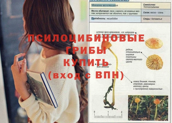 MESCALINE Горняк
