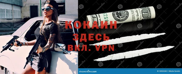 шишки Горнозаводск